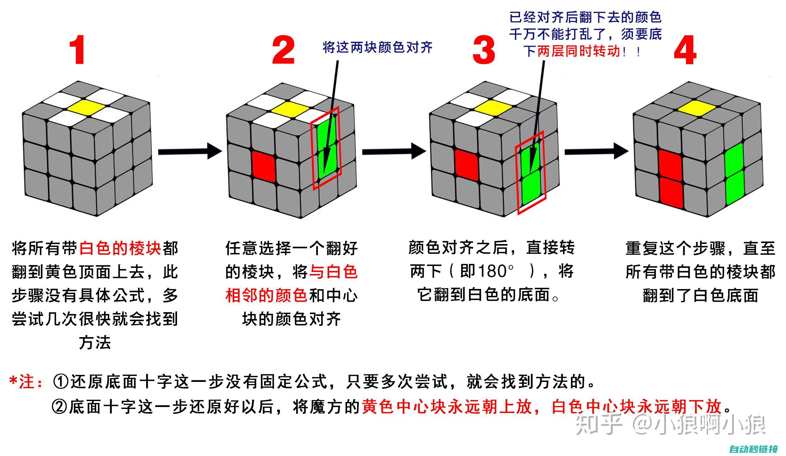 入门指南与操作教程 (入门指南怎么写)