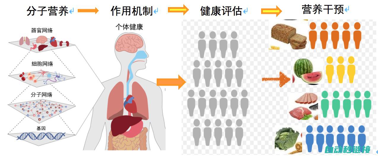 功能特性与性能优势分析 (功能特性与性质的区别)